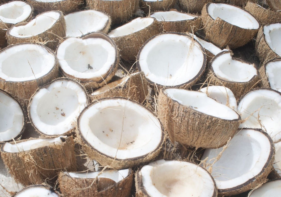 Coconut Oil in Soap: The Truth - Redoux