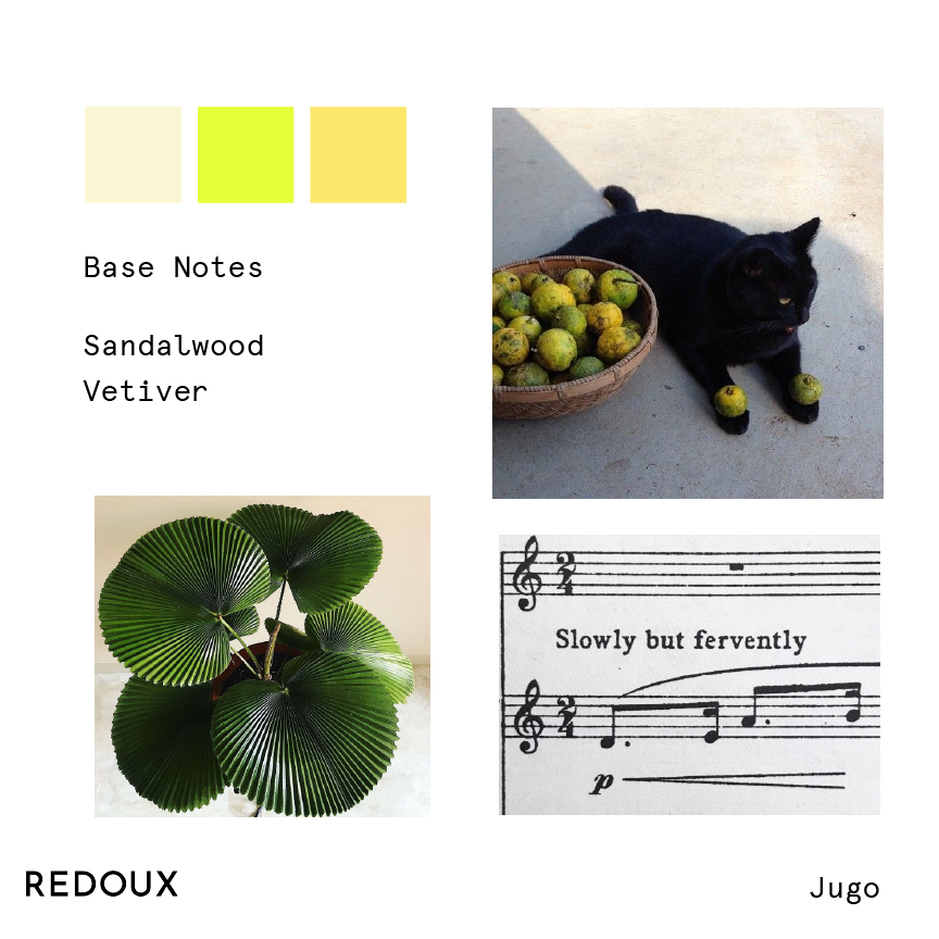 Redoux Studio Juice